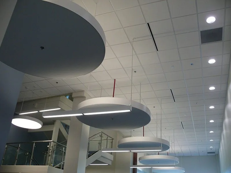 Project feature